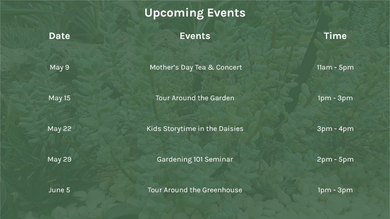 Upcoming Events List