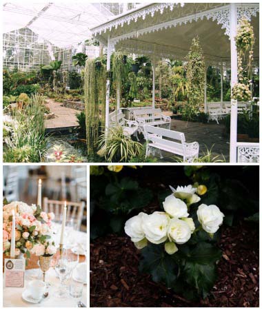 Botanical Garden party collage